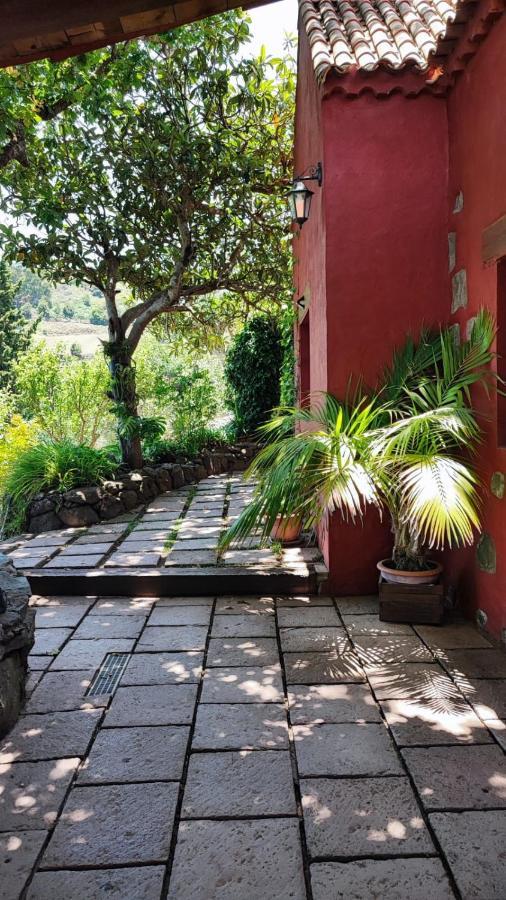 Casa Rural Con Piscina Privada El Roble Moya  Dış mekan fotoğraf
