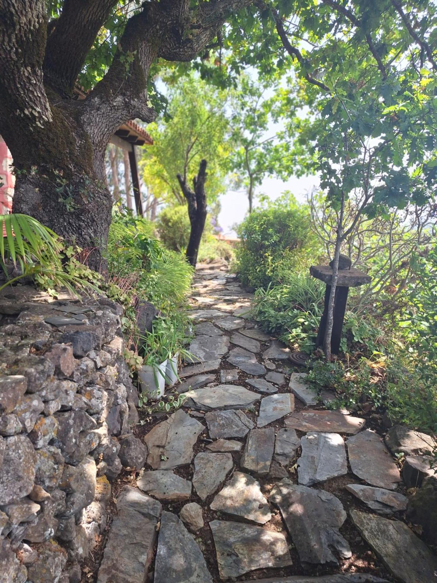 Casa Rural Con Piscina Privada El Roble Moya  Dış mekan fotoğraf