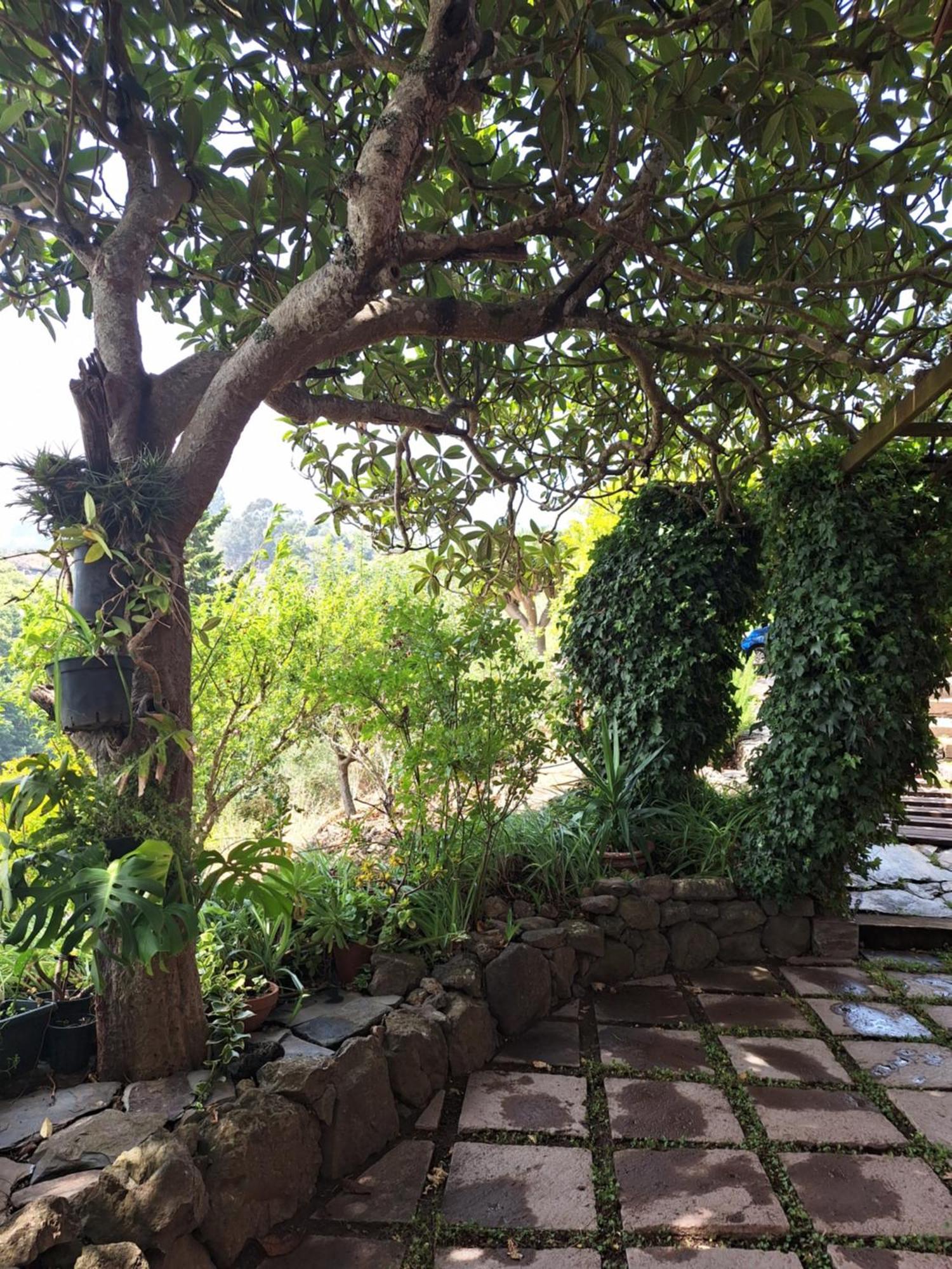Casa Rural Con Piscina Privada El Roble Moya  Dış mekan fotoğraf