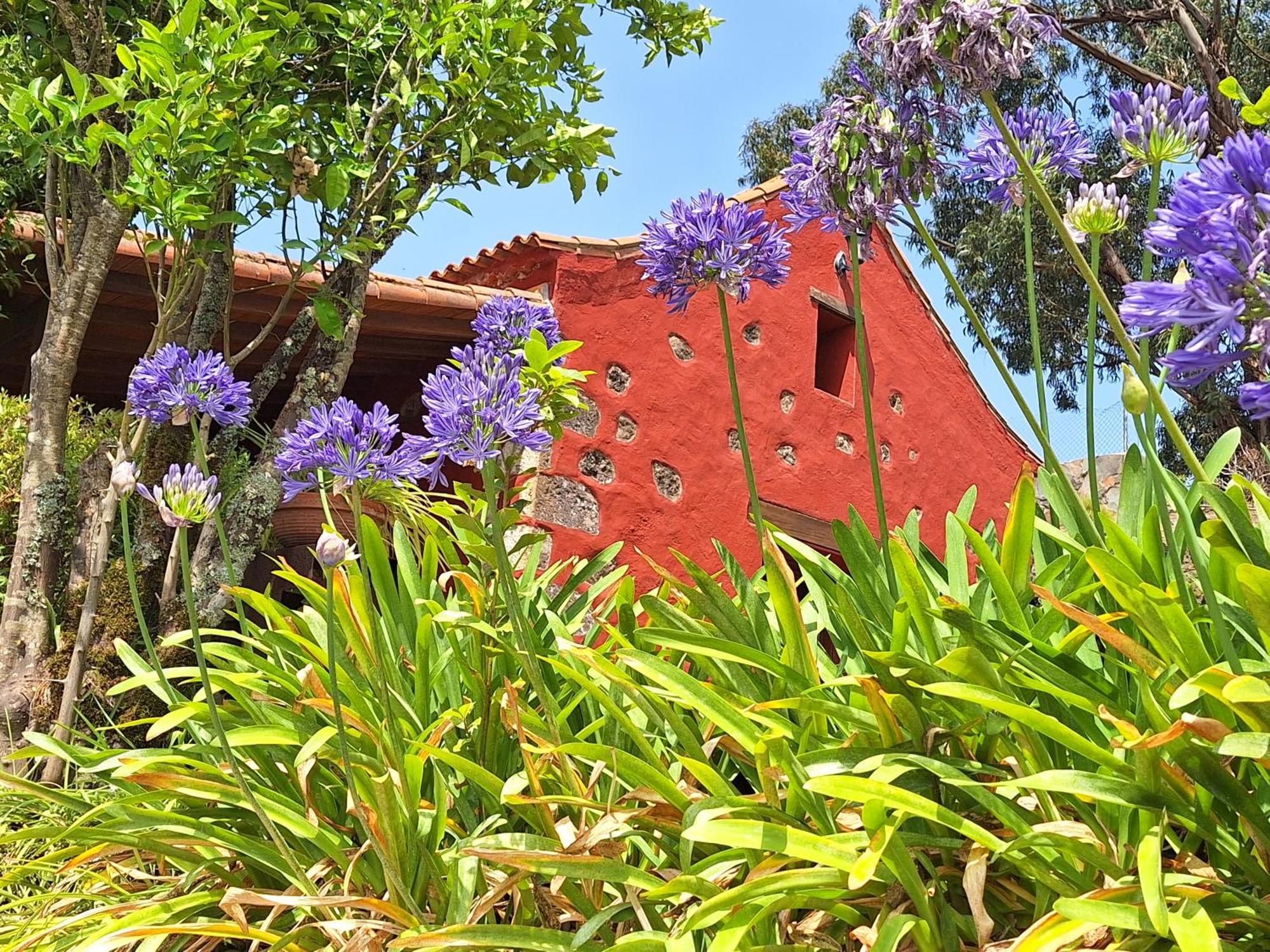 Casa Rural Con Piscina Privada El Roble Moya  Dış mekan fotoğraf