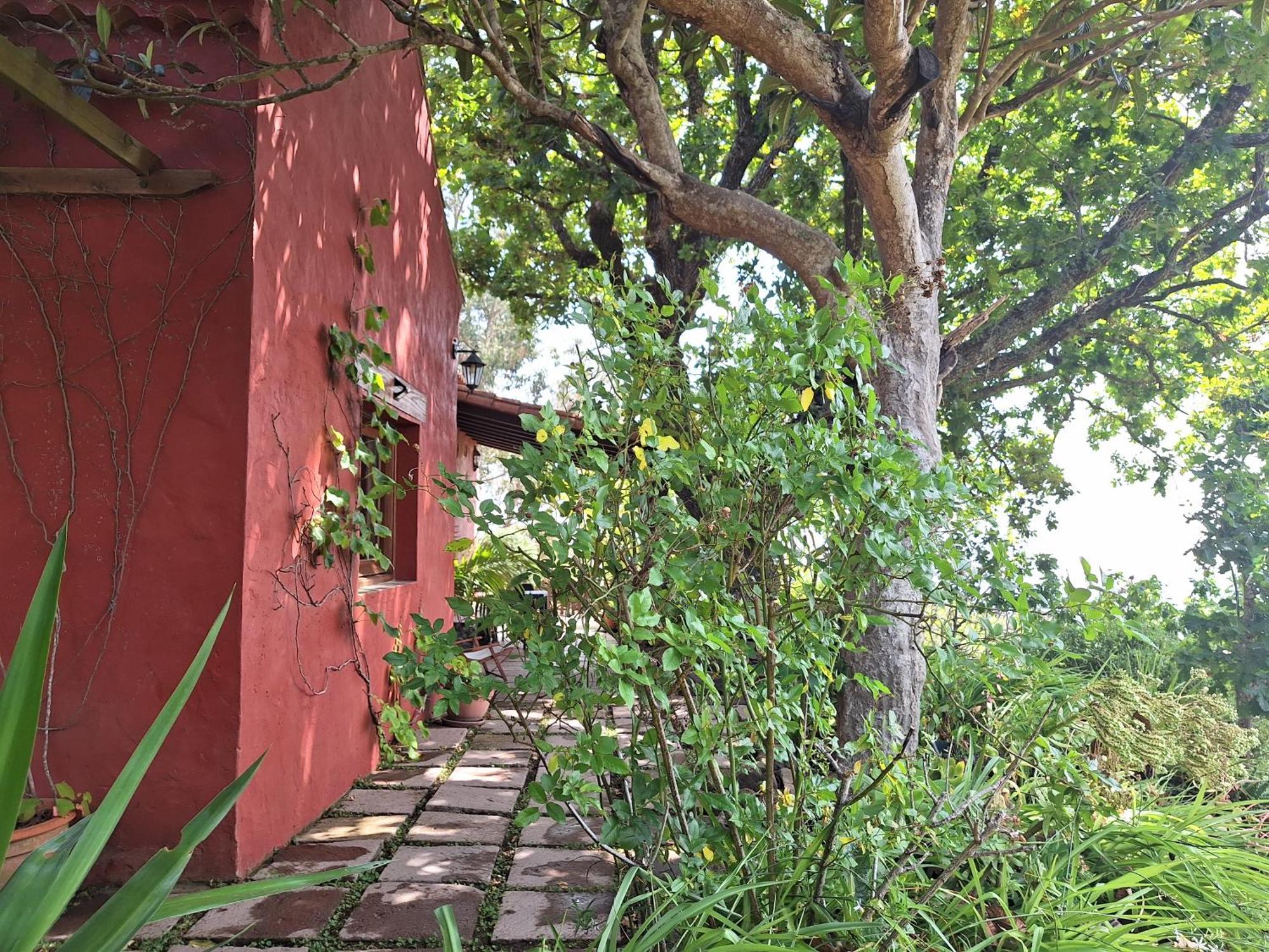 Casa Rural Con Piscina Privada El Roble Moya  Dış mekan fotoğraf