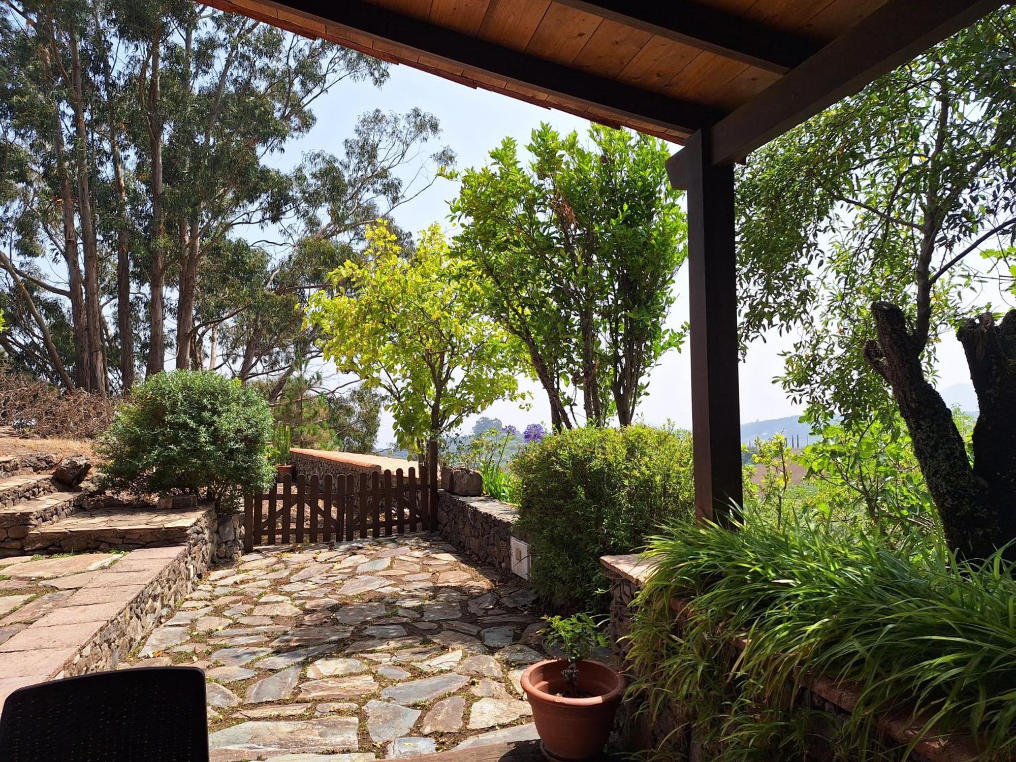 Casa Rural Con Piscina Privada El Roble Moya  Dış mekan fotoğraf